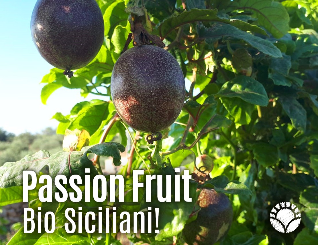 E' Arrivata La Stagione Dei Passion Fruit BIO Siciliani!