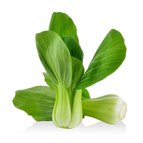 Pak-Choi BIO